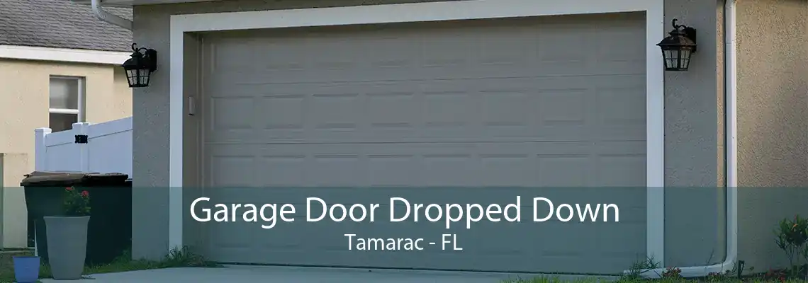 Garage Door Dropped Down Tamarac - FL
