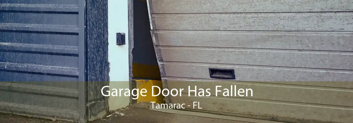 Garage Door Has Fallen Tamarac - FL
