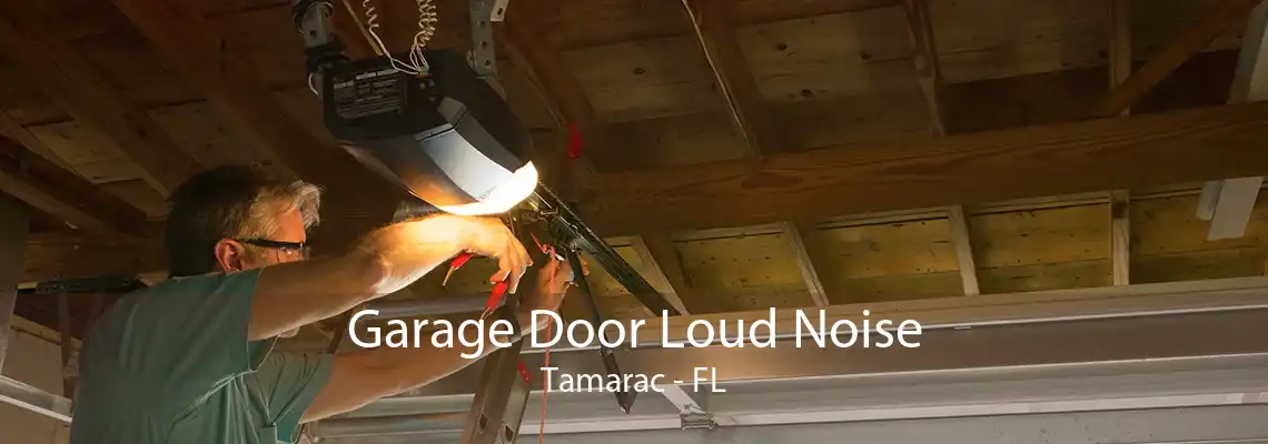 Garage Door Loud Noise Tamarac - FL