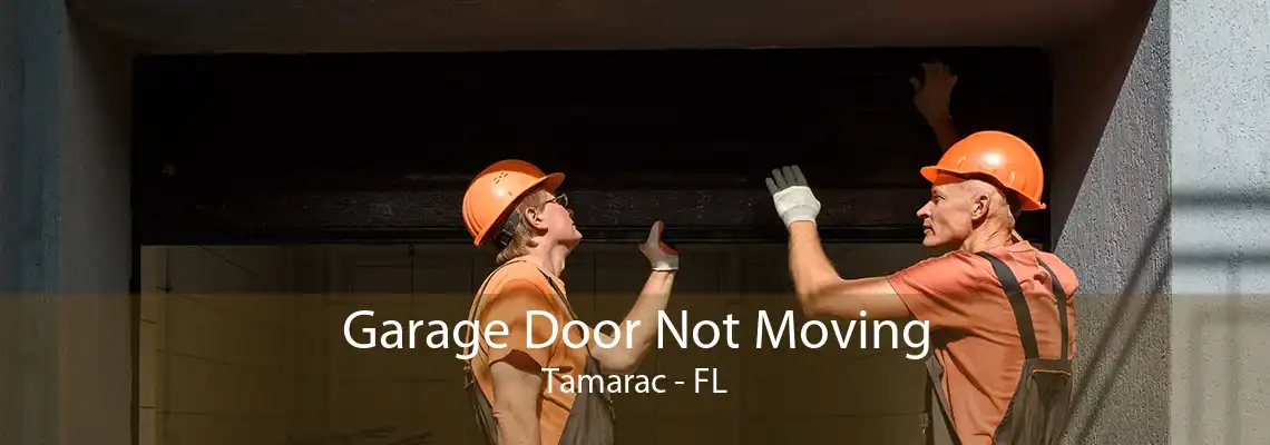 Garage Door Not Moving Tamarac - FL