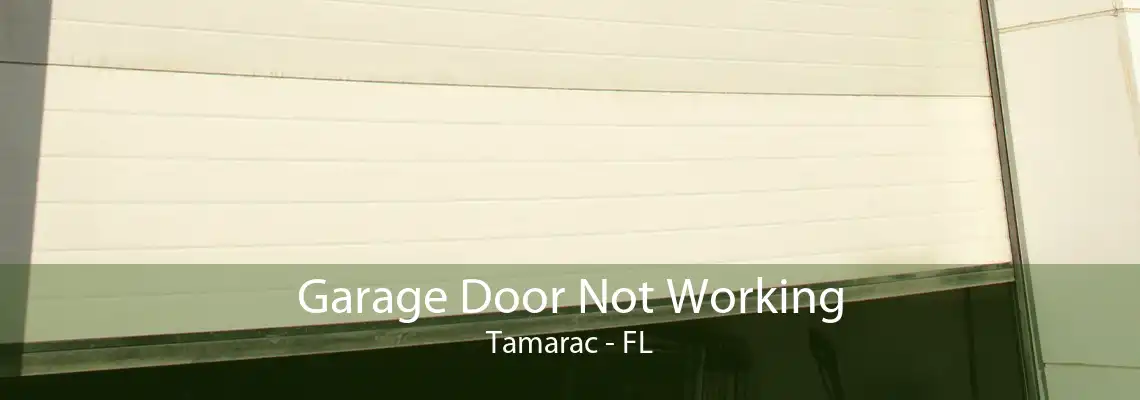 Garage Door Not Working Tamarac - FL