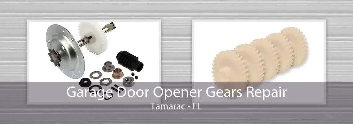 Garage Door Opener Gears Repair Tamarac - FL