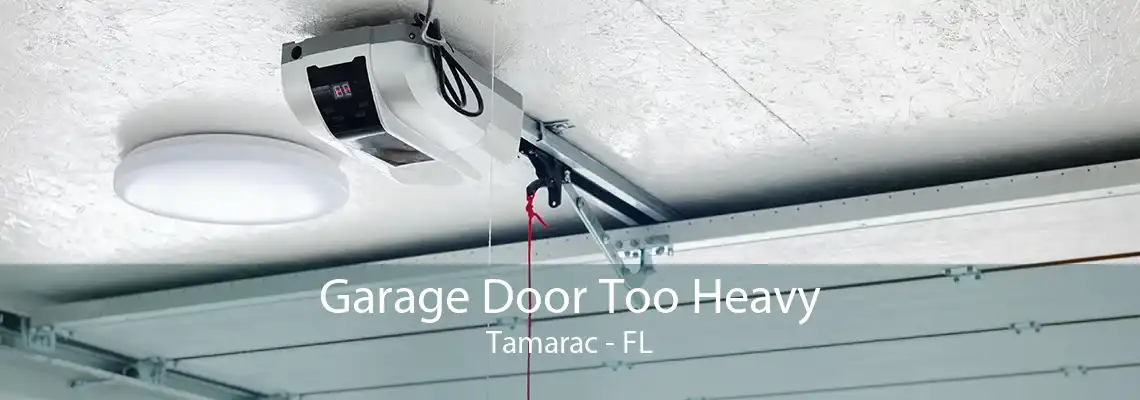 Garage Door Too Heavy Tamarac - FL