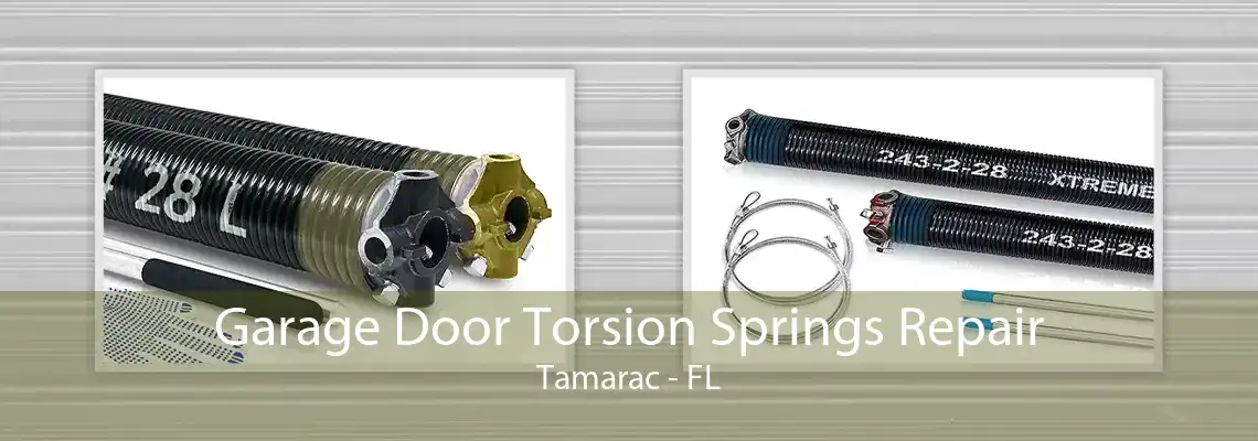 Garage Door Torsion Springs Repair Tamarac - FL