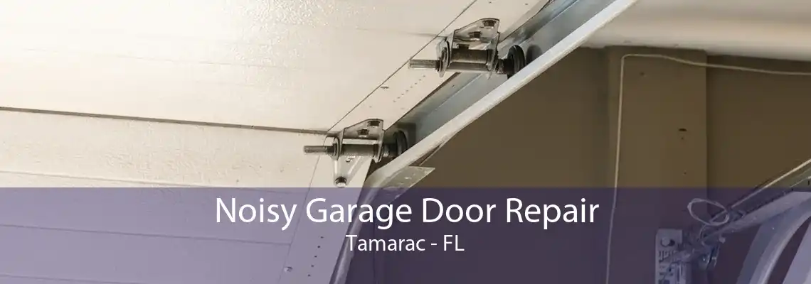 Noisy Garage Door Repair Tamarac - FL